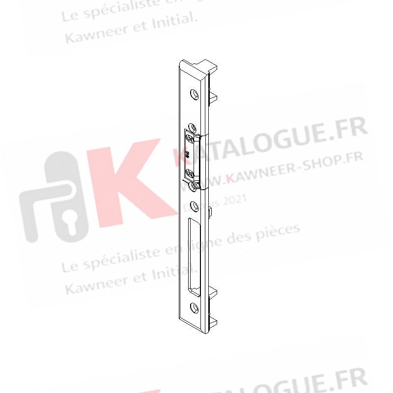Gâche centrale GAUCHE 2 VANTAUX serrure relevage