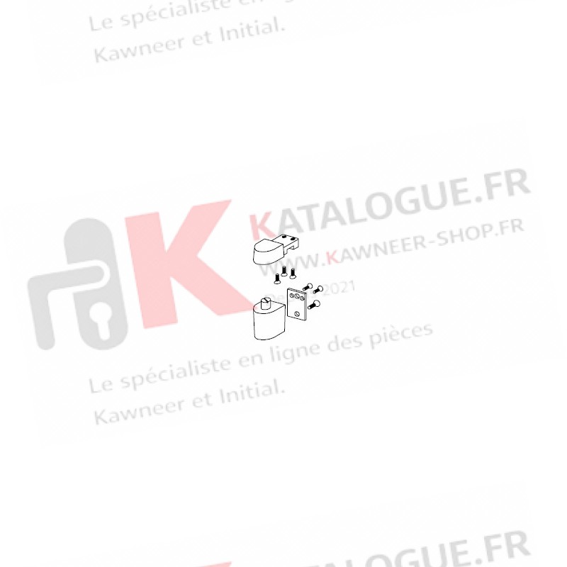 Pivot haut simple action KAWNEER K190
