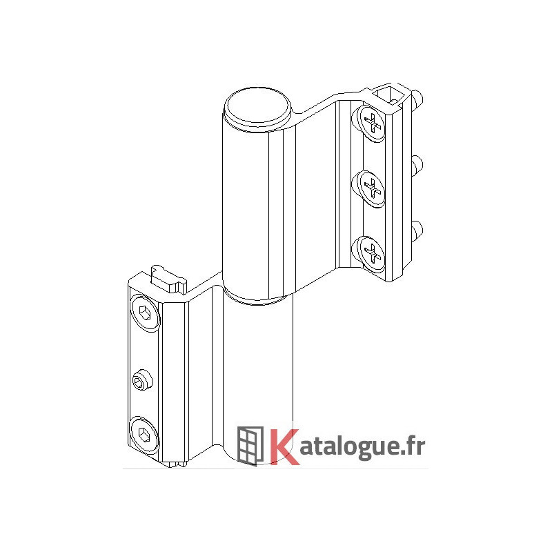 Paumelle porte Kalory (Attention gros modele!)